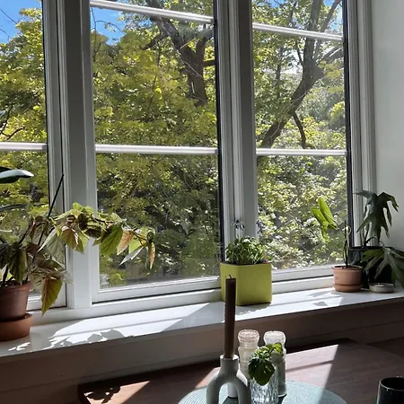 Beautiful Centrally At St Hanshaugen Apartamento