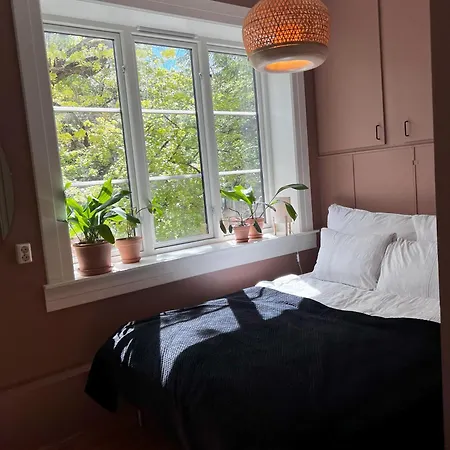 Beautiful Centrally At St Hanshaugen Apartamento